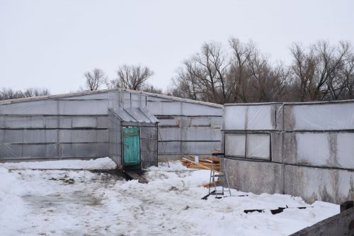 В хозяйстве Файзуллиных из Нурлатского района теперь теплиц больше