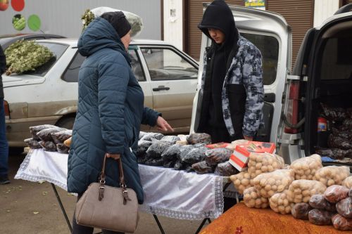 На первой весенней ярмарке в Нурлате сельхозпродукцию реализовали с 45 торговых точек
