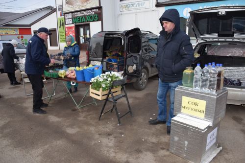 На первой весенней ярмарке в Нурлате сельхозпродукцию реализовали с 45 торговых точек