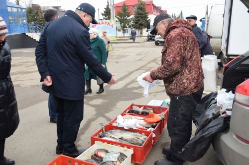 На первой весенней ярмарке в Нурлате сельхозпродукцию реализовали с 45 торговых точек