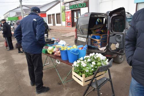 На первой весенней ярмарке в Нурлате сельхозпродукцию реализовали с 45 торговых точек