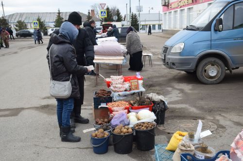 На первой весенней ярмарке в Нурлате сельхозпродукцию реализовали с 45 торговых точек