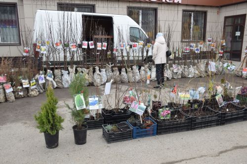 На первой весенней ярмарке в Нурлате сельхозпродукцию реализовали с 45 торговых точек