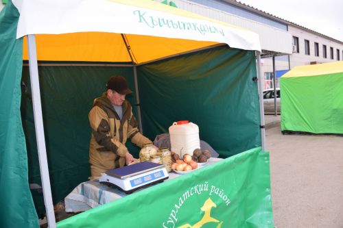 На первой весенней ярмарке в Нурлате сельхозпродукцию реализовали с 45 торговых точек