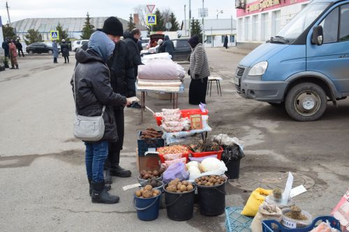 На первой весенней ярмарке в Нурлате сельхозпродукцию реализовали с 45 торговых точек