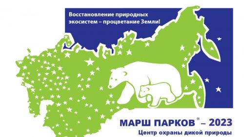 В Татарстане идет прием заявок на участие в Международной акции «Марш парков-2023»