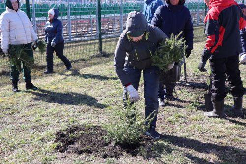 В Нурлате прошел День посадки леса