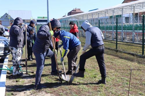В Нурлате прошел День посадки леса