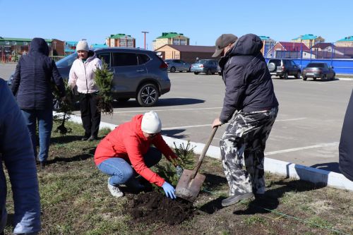 В Нурлате прошел День посадки леса