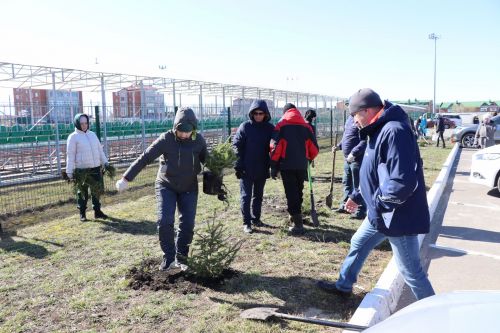 В Нурлате прошел День посадки леса