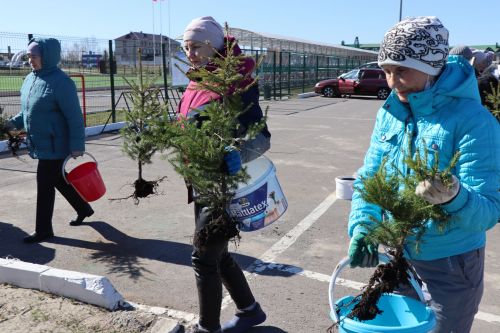 В Нурлате прошел День посадки леса
