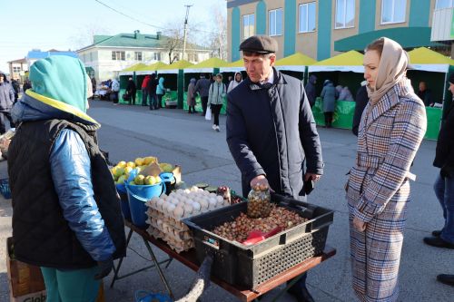 В Нурлате прошла сельскохозяйственная ярмарка