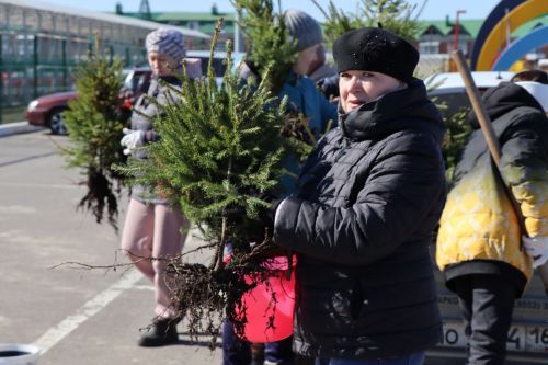 В Нурлате прошел День посадки леса
