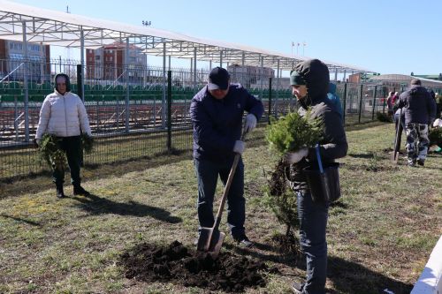 В Нурлате прошел День посадки леса