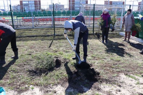 В Нурлате прошел День посадки леса