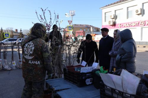 В Нурлате прошла сельскохозяйственная ярмарка
