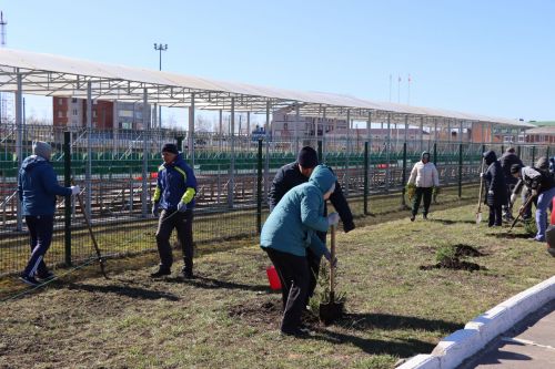 В Нурлате прошел День посадки леса