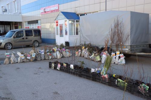 В Нурлате прошла сельскохозяйственная ярмарка