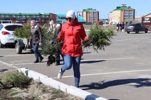 В Нурлате прошел День посадки леса