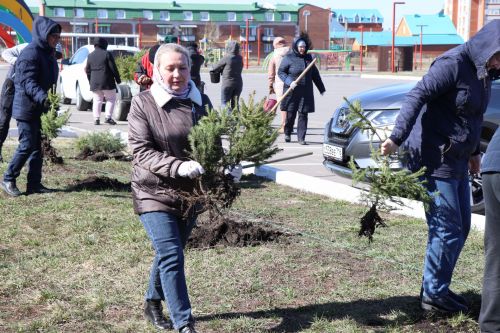 В Нурлате прошел День посадки леса