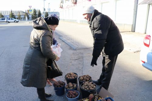 В Нурлате прошла сельскохозяйственная ярмарка