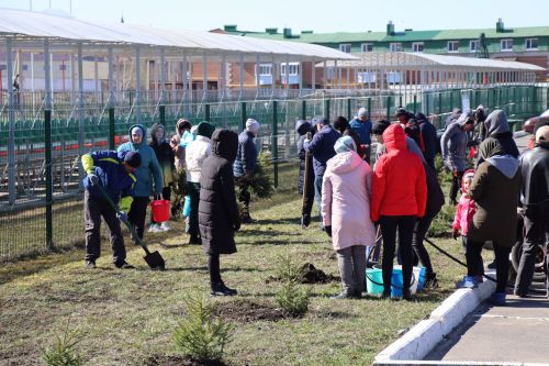 В Нурлате прошел День посадки леса