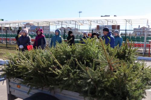 В Нурлате прошел День посадки леса