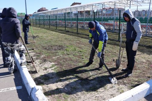 В Нурлате прошел День посадки леса