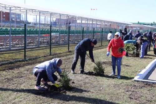 В Нурлате прошел День посадки леса