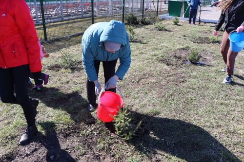 В Нурлате прошел День посадки леса
