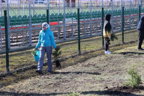 В Нурлате прошел День посадки леса