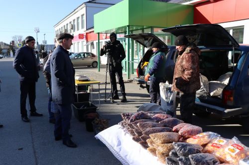В Нурлате прошла сельскохозяйственная ярмарка