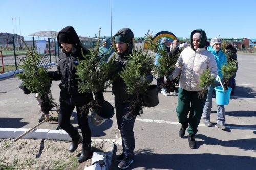 В Нурлате прошел День посадки леса