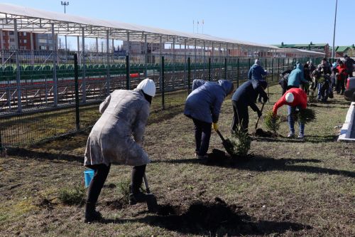В Нурлате прошел День посадки леса