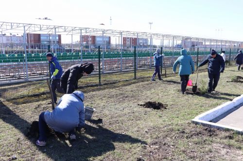 В Нурлате прошел День посадки леса