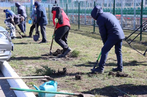 В Нурлате прошел День посадки леса