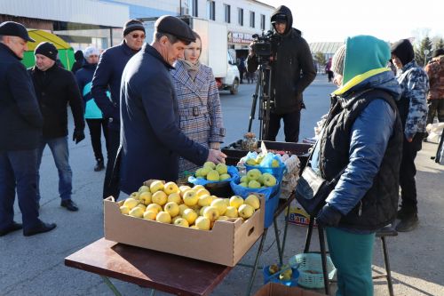 В Нурлате прошла сельскохозяйственная ярмарка