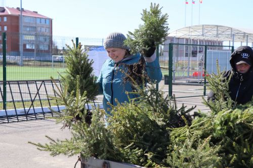 В Нурлате прошел День посадки леса