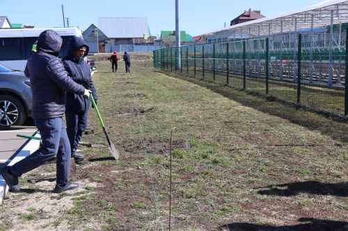 В Нурлате прошел День посадки леса