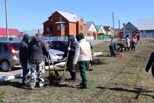 В Нурлате прошел День посадки леса