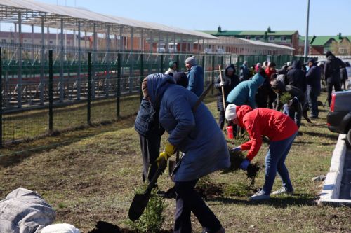 В Нурлате прошел День посадки леса