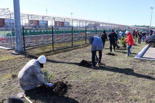 В Нурлате прошел День посадки леса
