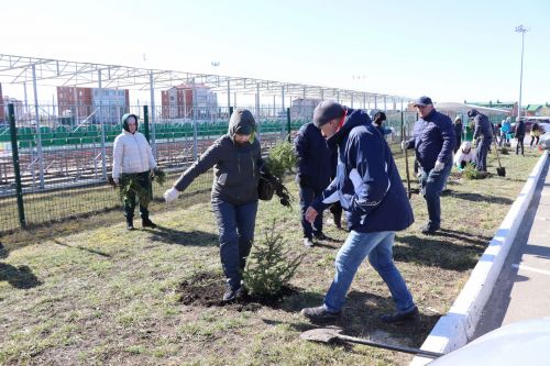 В Нурлате прошел День посадки леса