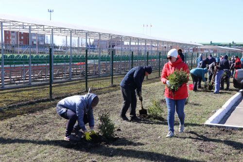 В Нурлате прошел День посадки леса