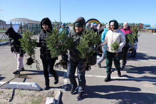 В Нурлате прошел День посадки леса