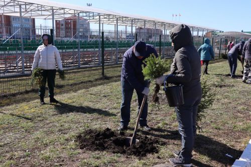 В Нурлате прошел День посадки леса
