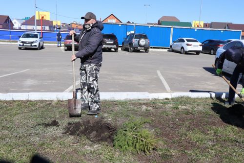 В Нурлате прошел День посадки леса