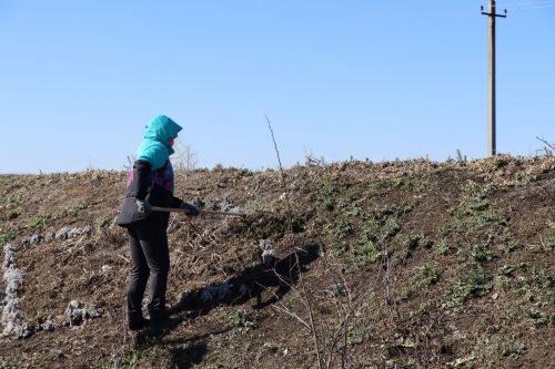 В Нурлате прошел День посадки леса