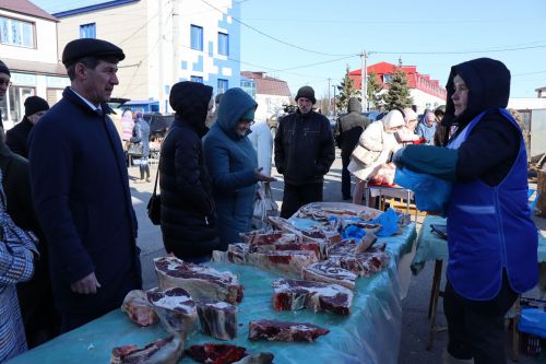 В Нурлате прошла сельскохозяйственная ярмарка
