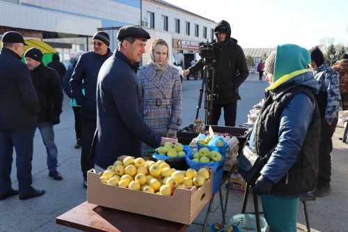 В Нурлате прошла сельскохозяйственная ярмарка